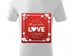 Tričko ALL YOU NEED IS LOVE unisex