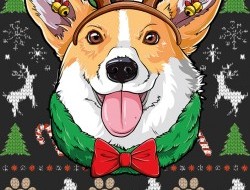 Psík